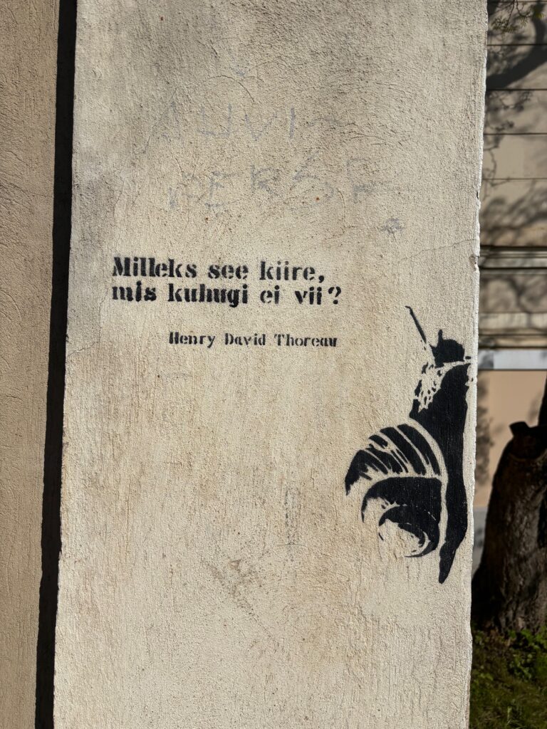 Järgmine peatus: Tartu! – Ein Tag zwischen Street Art und seufzenden Büchern